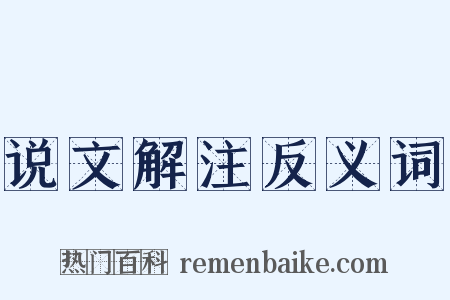 说文解注反义词是什么意思的图片